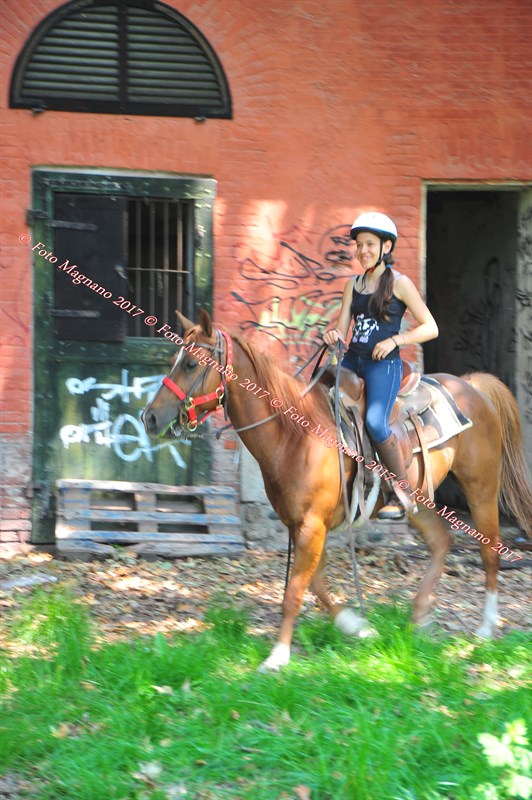 DSC_1031.JPG